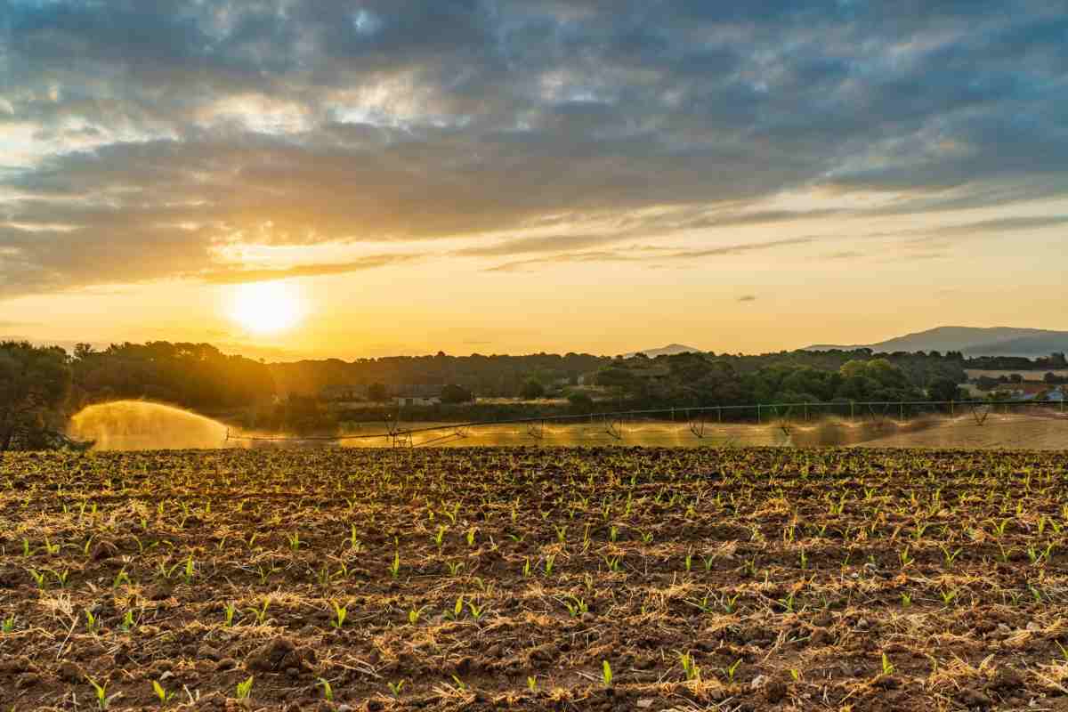 Lambient calorós saferra amb màximes properes als 35 ºC en alguns