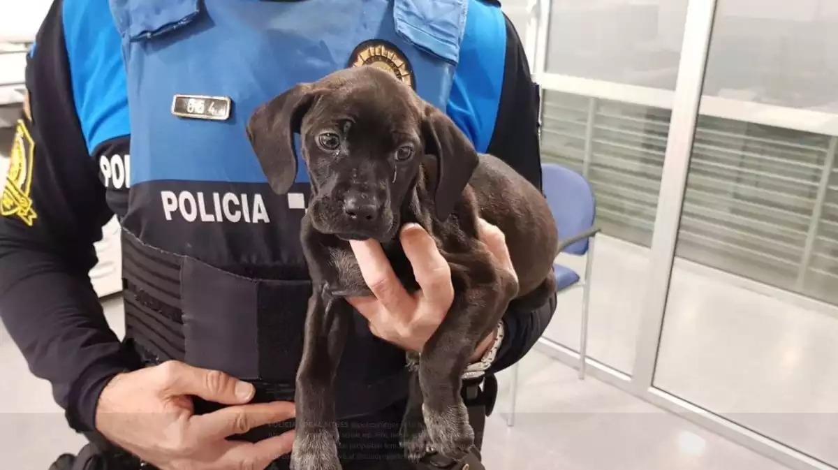 Policia Local Sitges