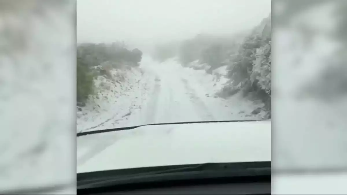 Imatge de la nevada a Hawaii