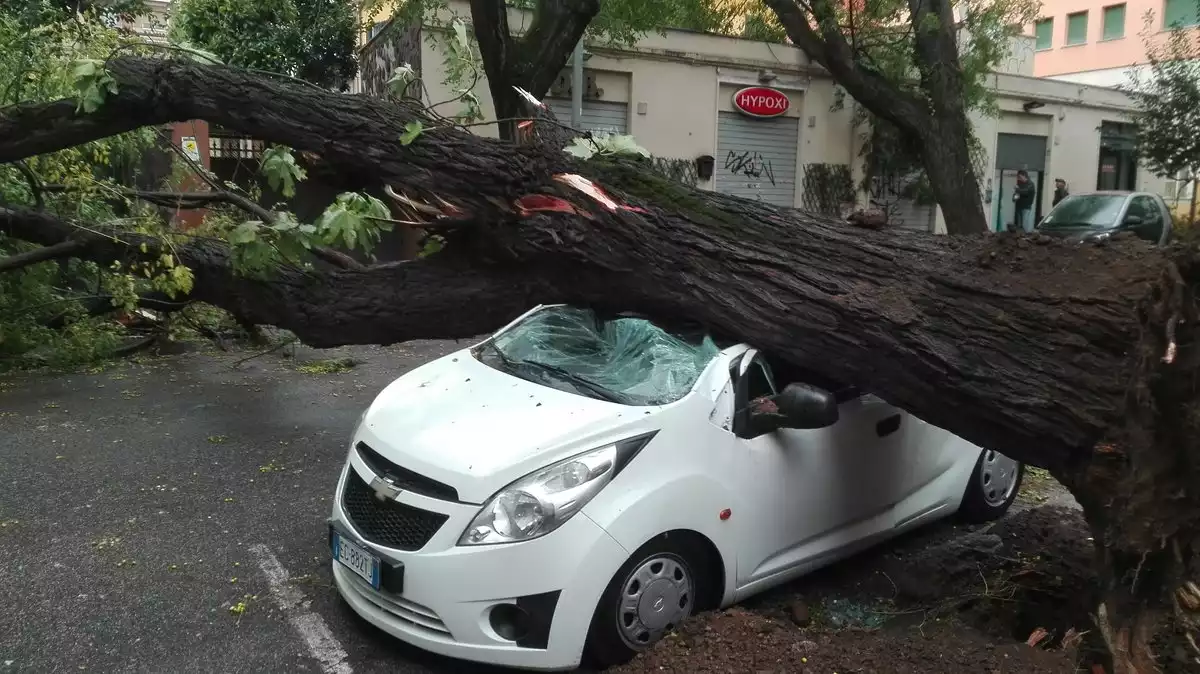 Un cotxe aixafat per un arbre caigut pel vent a Itàlia
