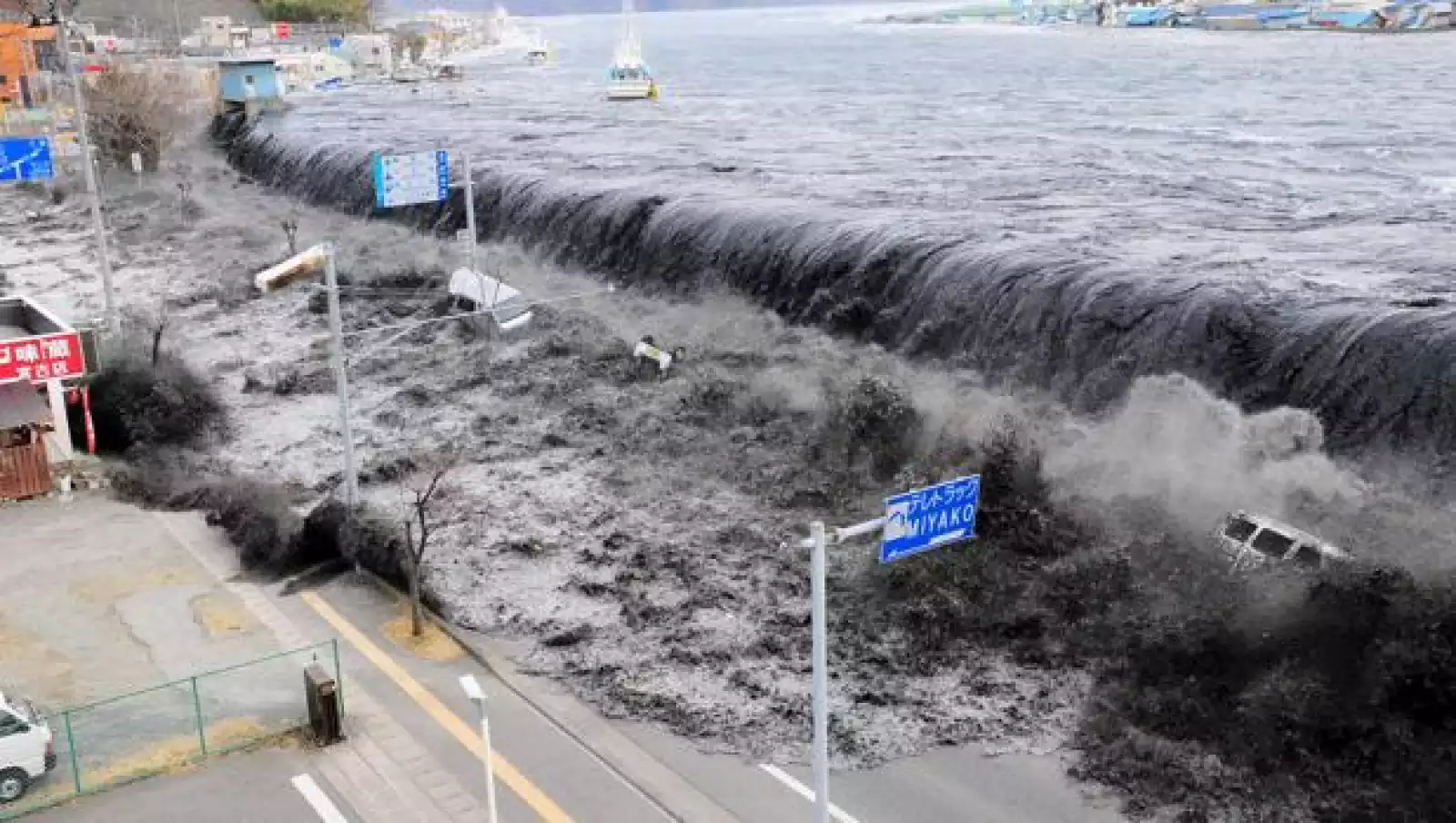 Giant fish washed up dead in Japan raise fears of earthquake or