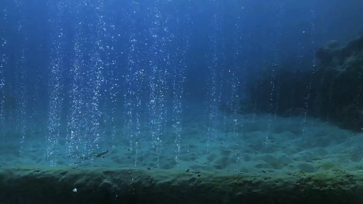 Les fonts hidrotermals oceàniques van ser claus en la formació de vida