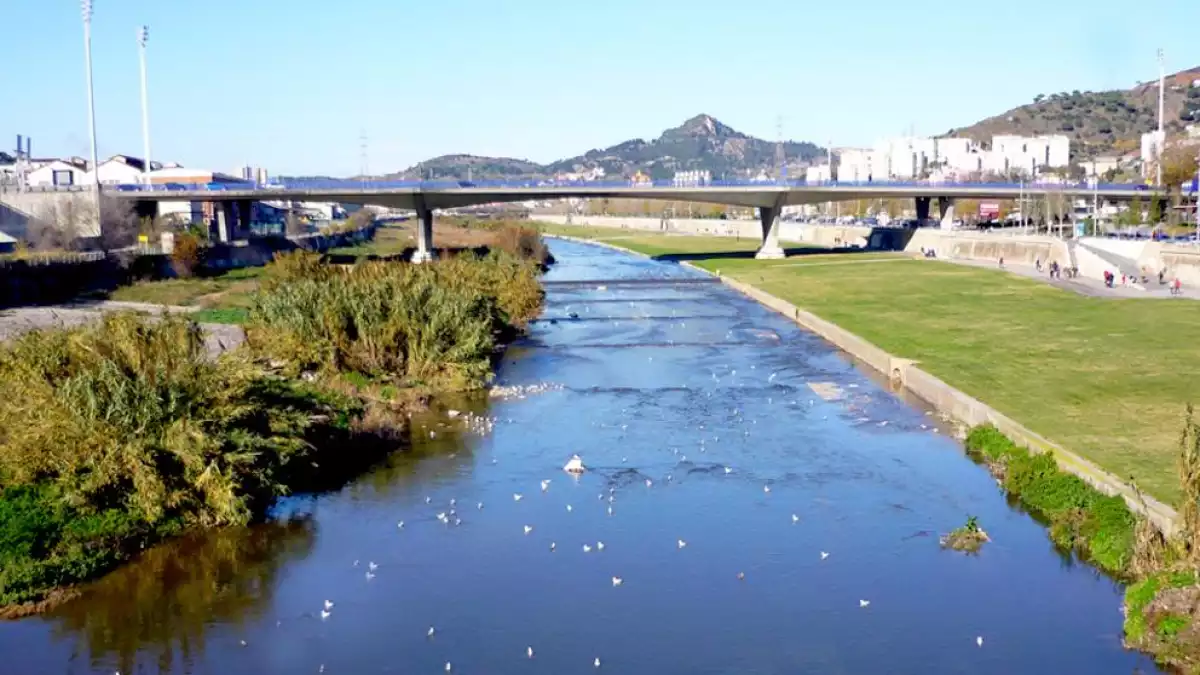 Imatge del riu Besòs al seu pas per Santa Coloma de Gramanet