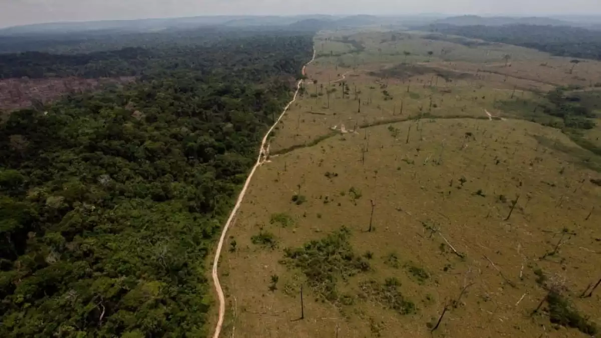 Imatge aèria de la desforestació a les Amazones del Brasil
