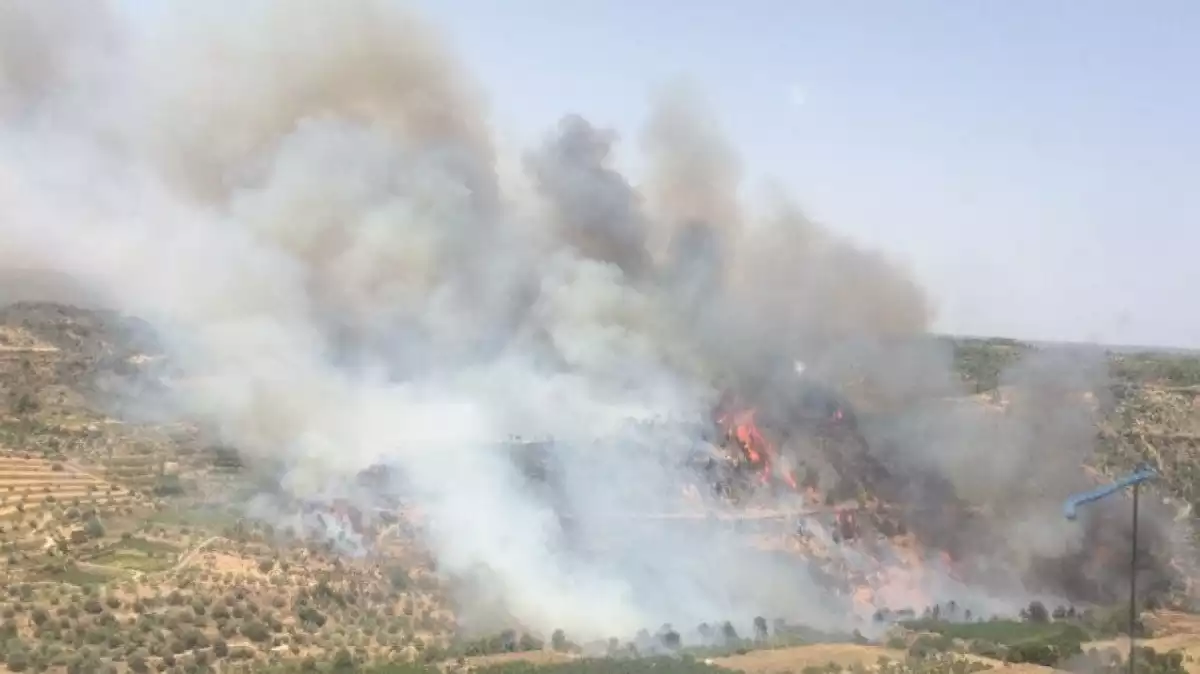 Imatge de l'incendi a la Ribera d'Ebre