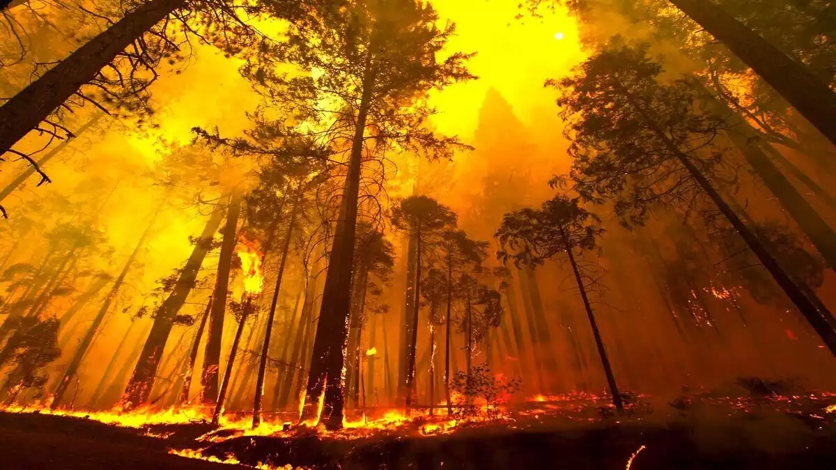 Els incendis han cremat més de 5.000 hectàrees aquest estiu a Catalunya