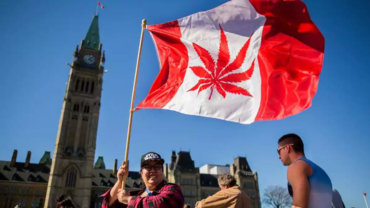 La legalització de marihuana al Canadà i als Estats Units ha disparat l'economia