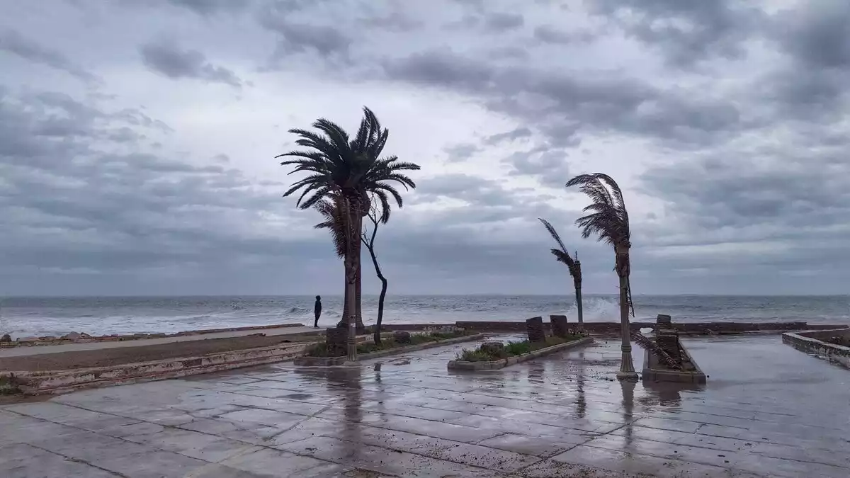 Imatge d'un dia de temporal a una platja de les Terres de l'Ebre