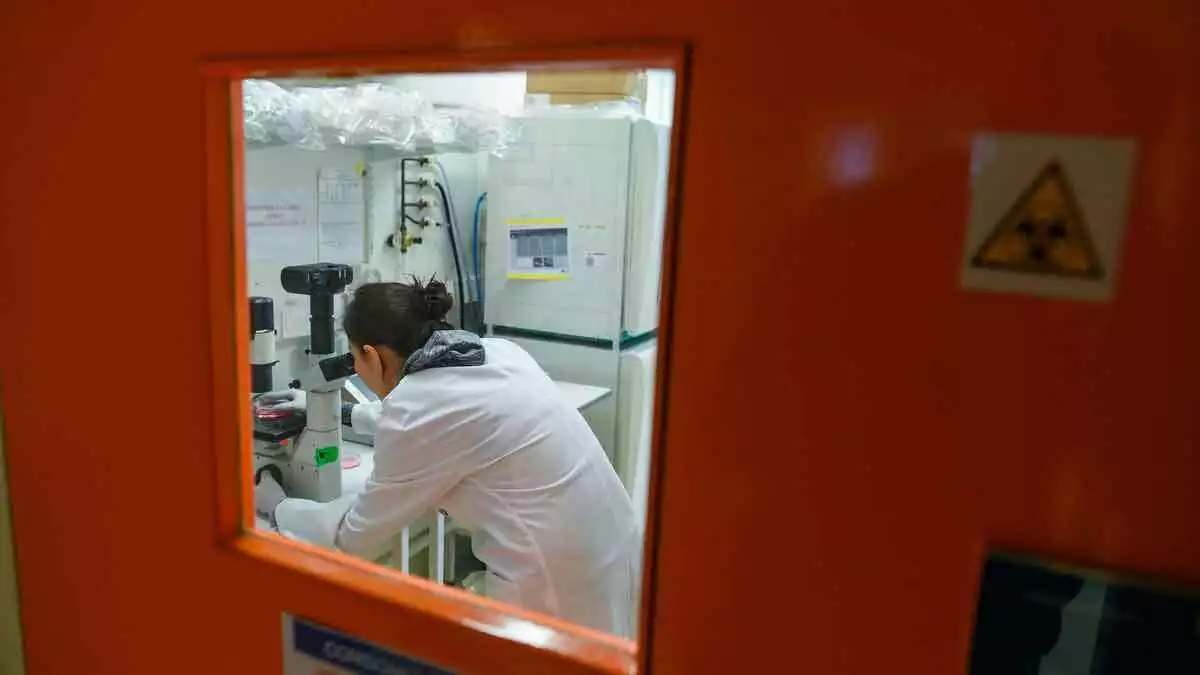 Científica treballant al laboratori en busca d'una vacuna contra el coronavirus