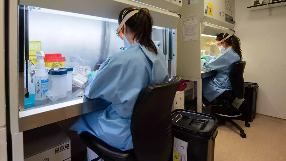 Investigadors del laboratori de l'Hospital Clínic fent proves de coronavirus el 5 de març del 2020