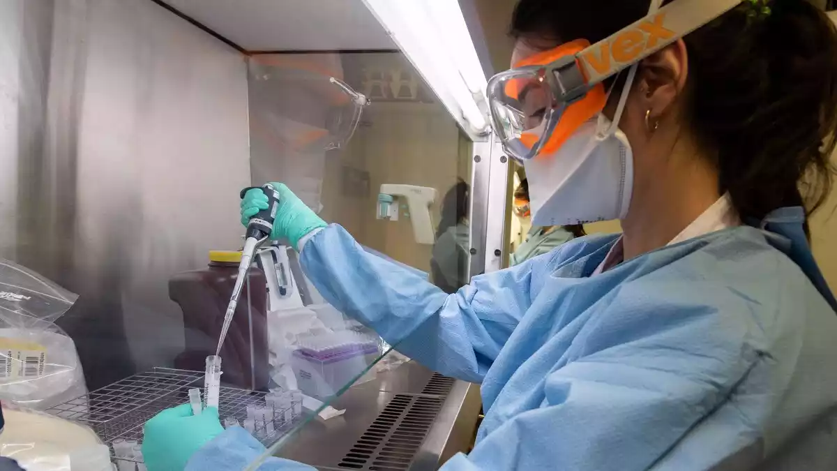 Una investigadora en el laboratori de l'Hospital Clínic fent proves de coronavirus