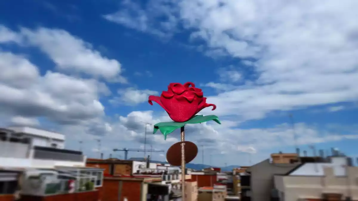 Imatge d'una rosa des d'un balcó de Barcelona el Sant Jordi del 2020