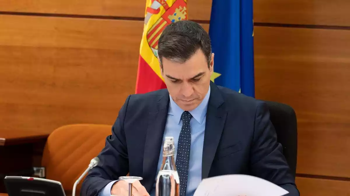 Pedro Sánchez durant el consell de ministres del 31 de març de 2020