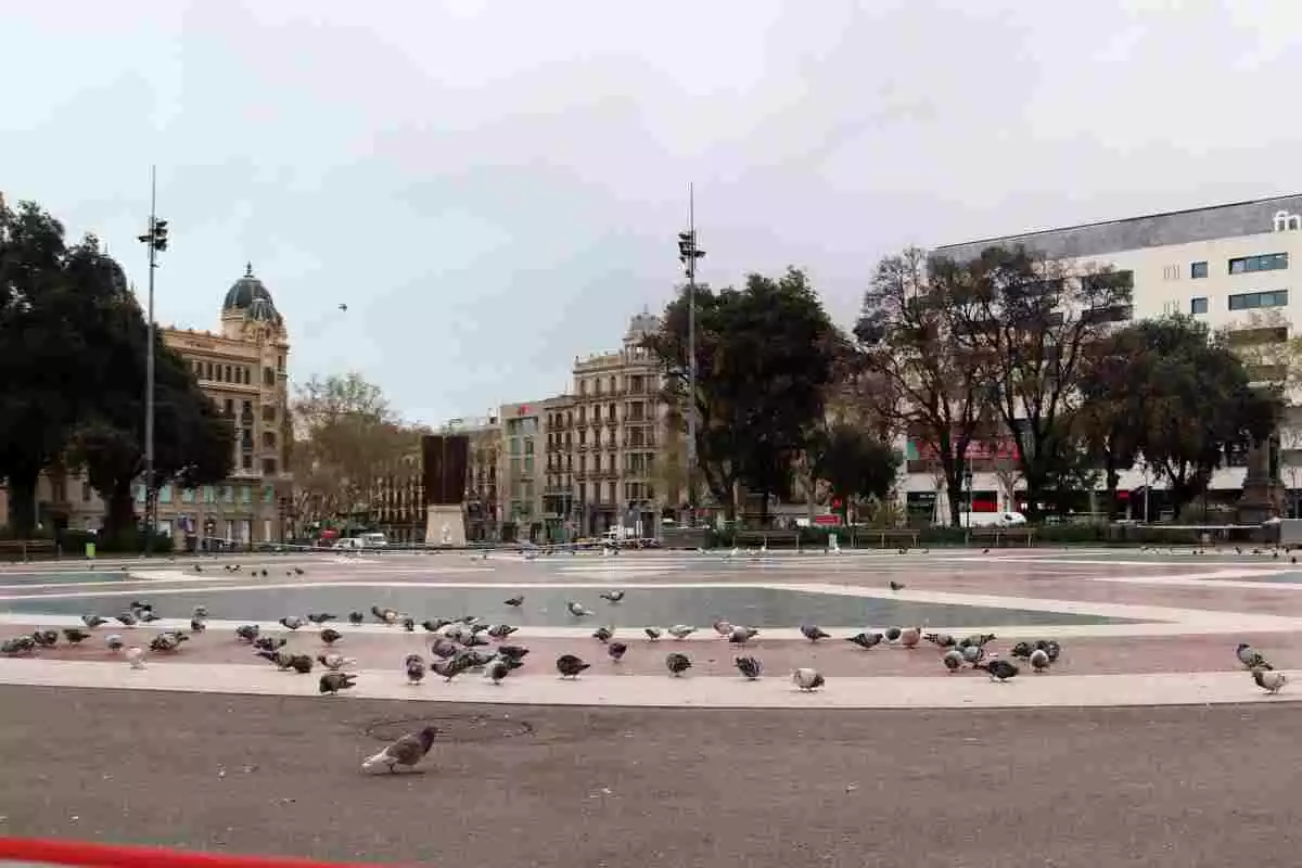 La plaça Catalunya de Barcelona