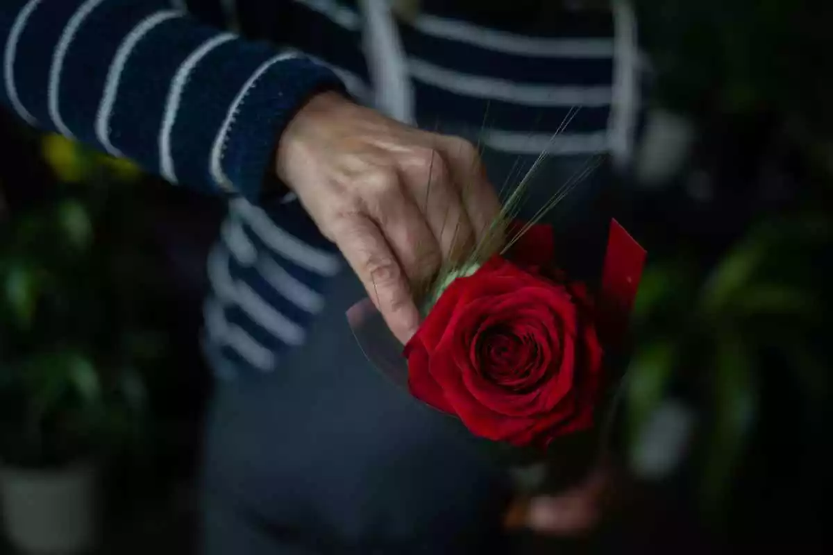 Florista amb una rosa de Sant Jordi a les mans