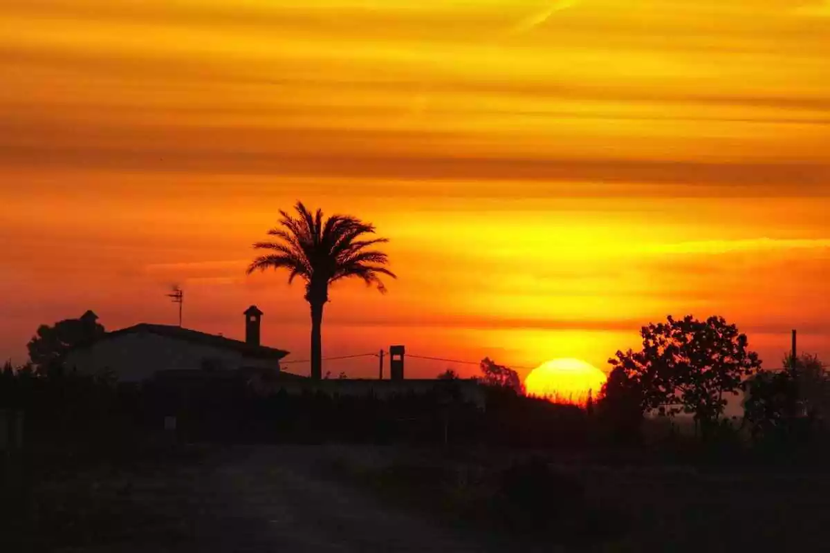 Imatge d'una sortida de sol al Delta de l'Ebre