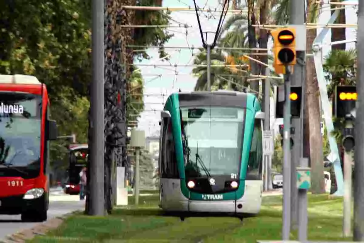 Pla general d'un bus i un tramvia prop de l'estació de Tram de Francesc Macià de Barcelona el dia 20 d'agost de 2019