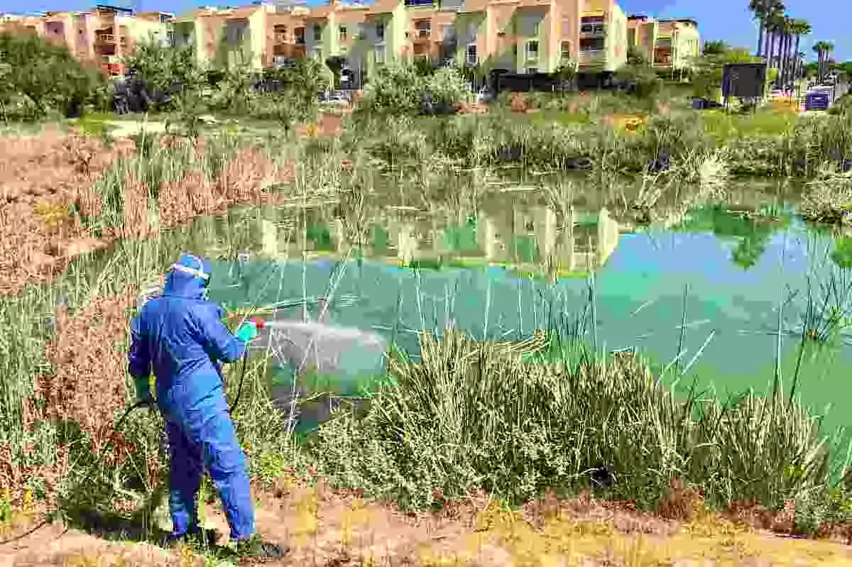 Un operari desinfectant un riu per prevenir els mosquits que porten la febre del Nil