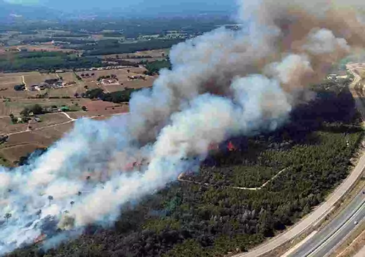 Imatge de l'incendi a Caldes de Malavella, a La Selva, el passat dimecres 21 d'agost de 2020