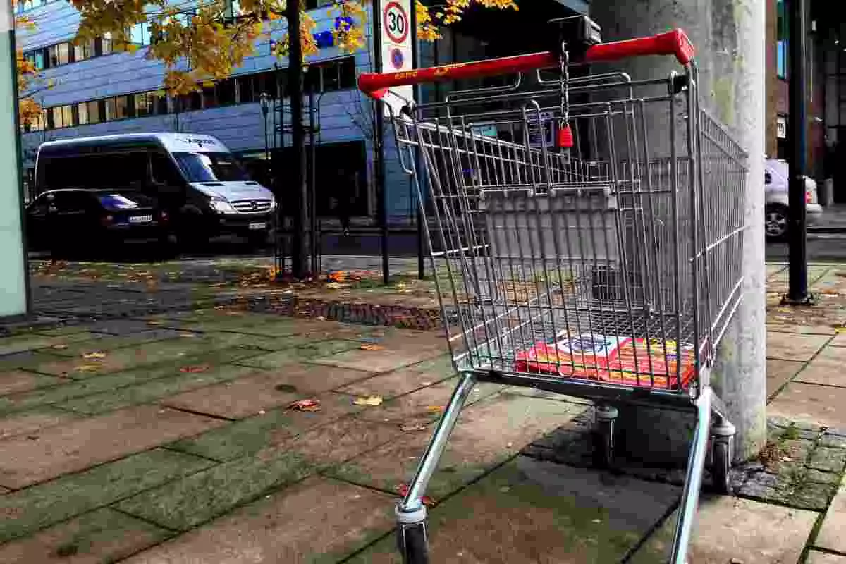 Un carro de supermercat al costat d'un arbre