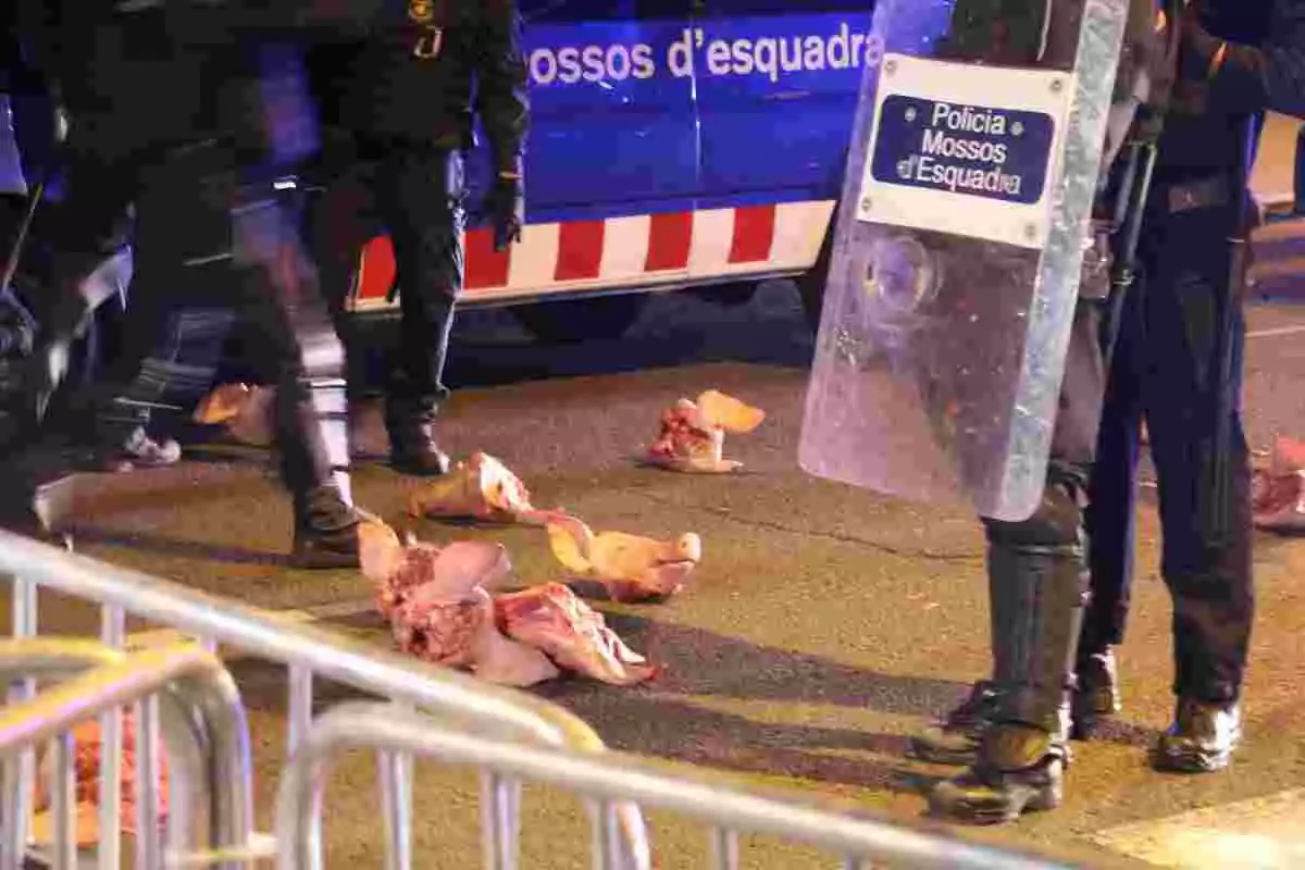 Els manifestants han llençat diversos caps de porc en contra dels Mossos a Barcelona