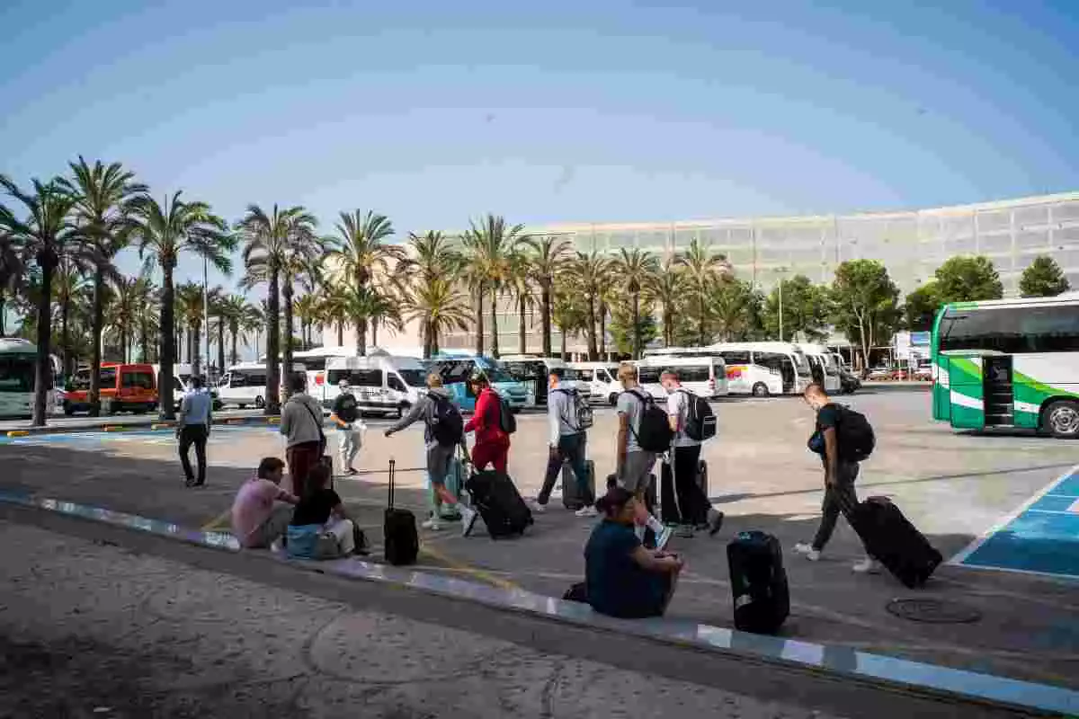 Passatgers amb maletes sortint de l'Aeroport de Palma de Mallorca amb palmeres darrere i un autobús