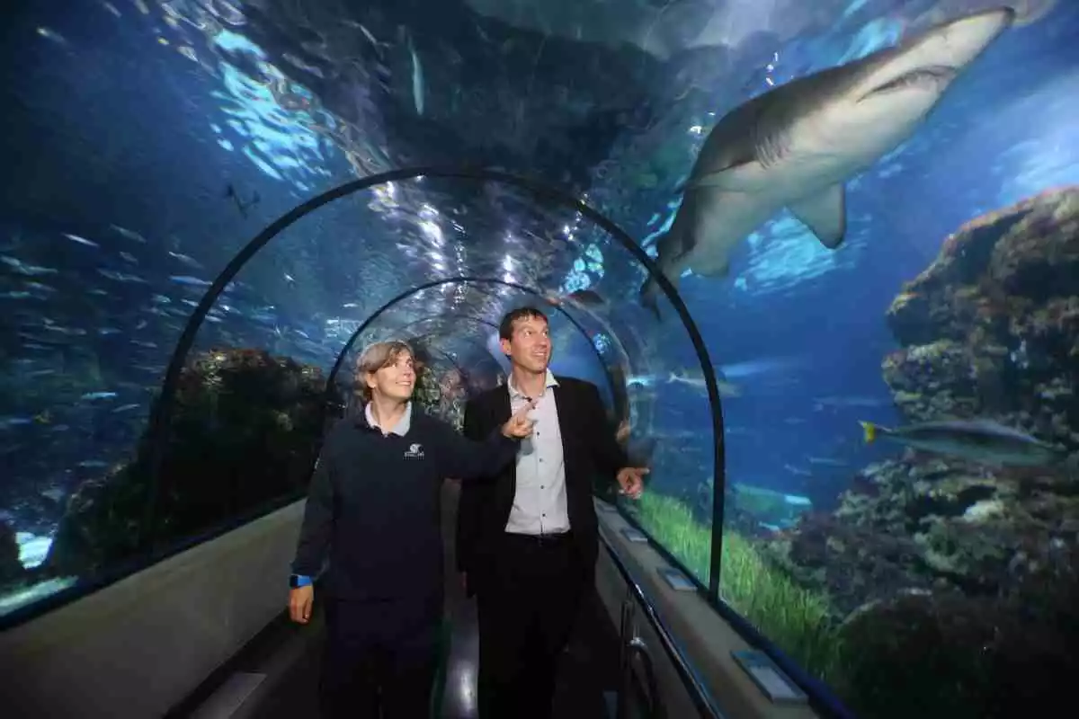 Una dona i un home observen la fauna marina i un tauró a l'interior de l'Aquàrium de Barcelona