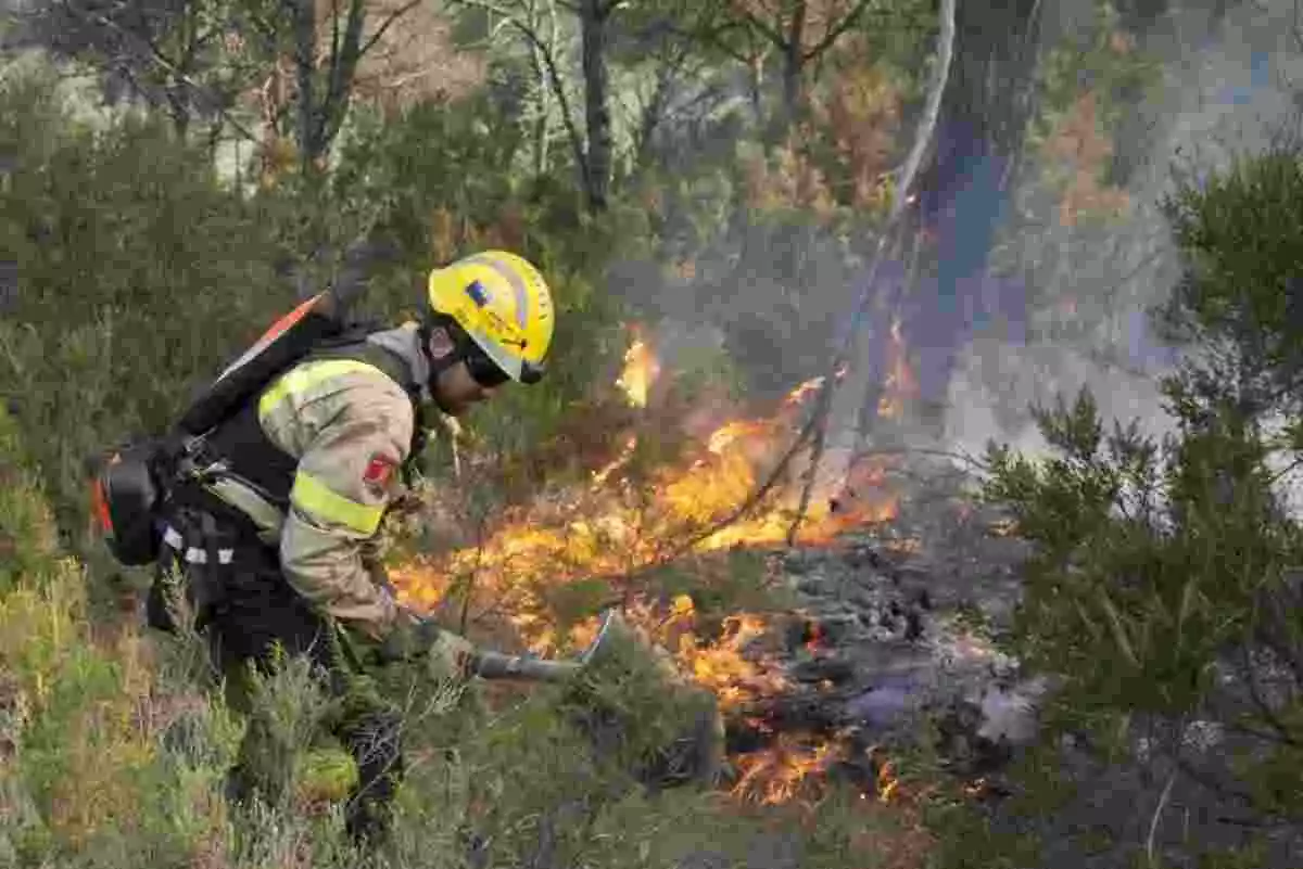 Imatge d'un bomber treballant en un incendi forestal.