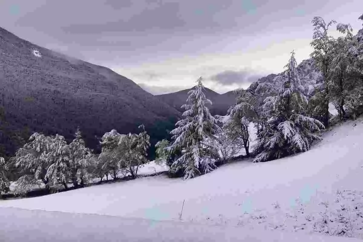 Imatge d'una nevada al Pirineu