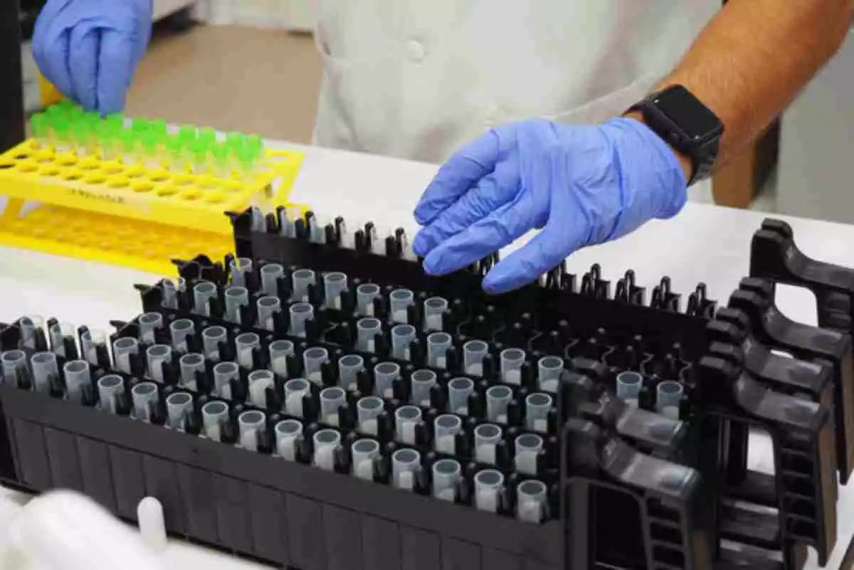 Pla obert de diverses mostres PCR a punt per entrar a la nova màquina que permet processar més ràpidament al laboratori de l'ICS Girona, el 2 d'octubre de 2020