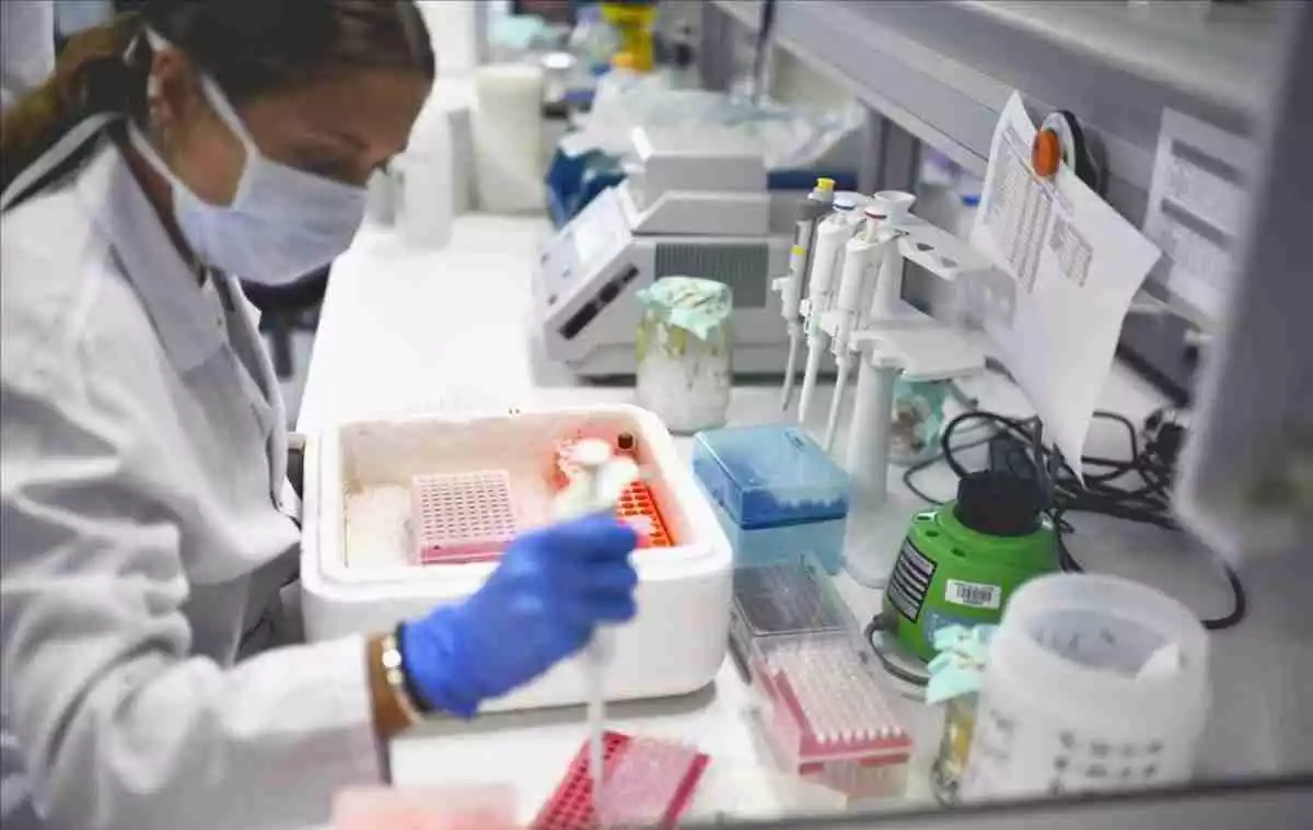 Una investigadora manipula mostres de coronavirus en un projecte d'investigació a l'Hospital Universitari de La Paz, a Madrid
