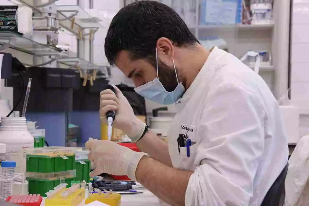 Un investigador de l'Institut de Biotecnologia i Biomedicina de la UAB treballant amb mascareta