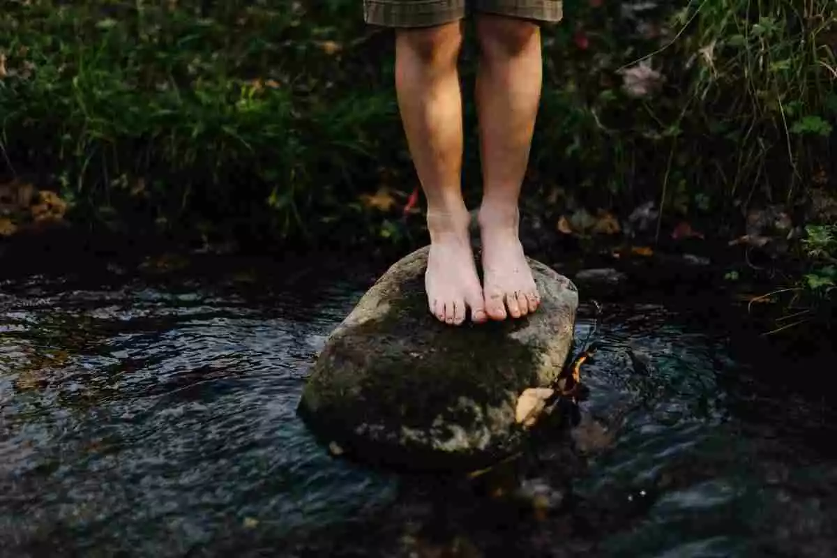 Uns peus sobre una roca en un riu