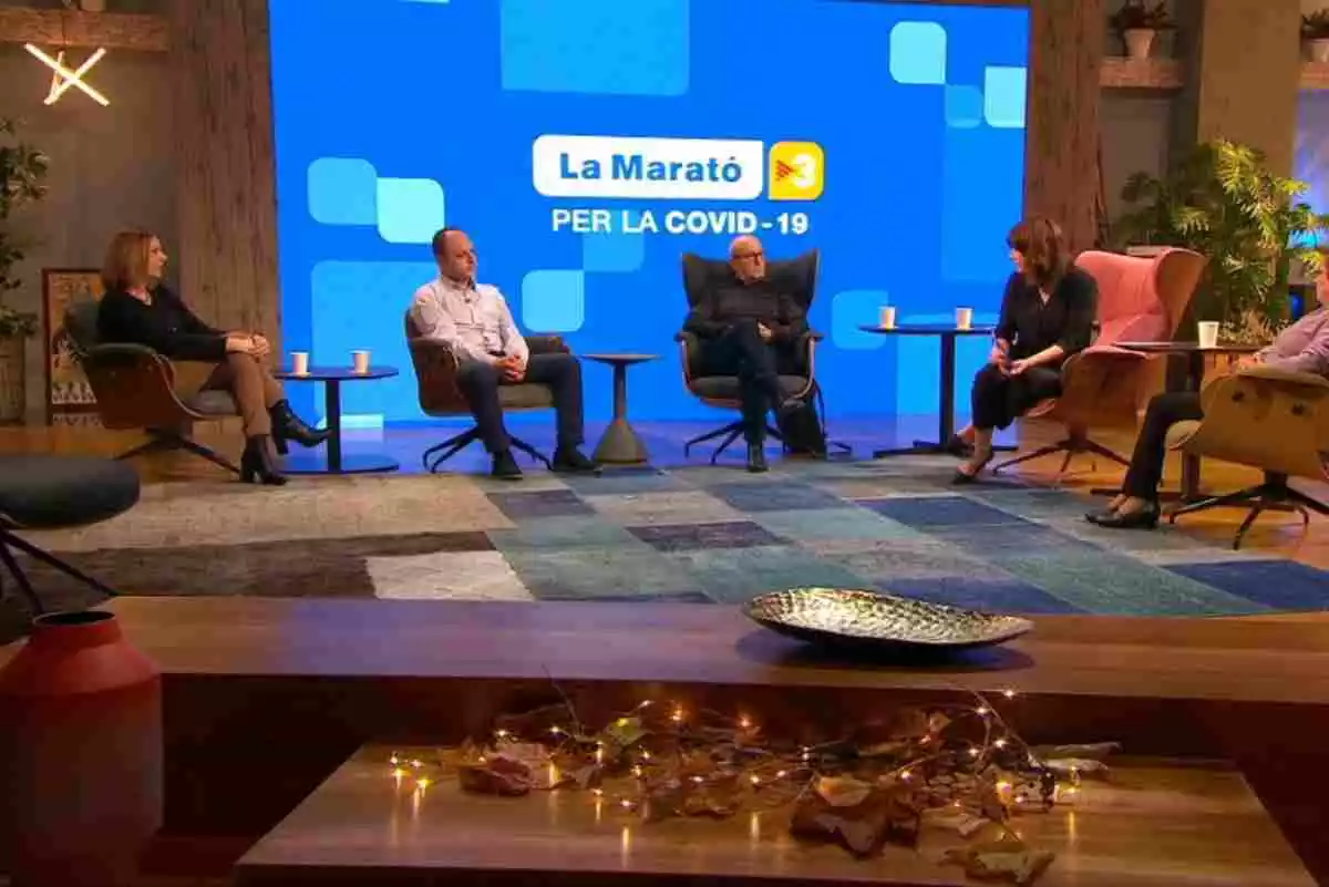 Diversos invitats al plató de 'La Marató' de TV3 conversant amb una de les presentadores