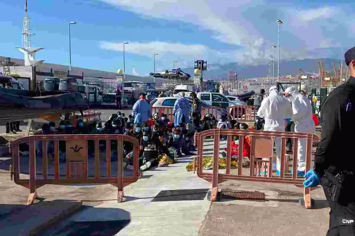 Migrants atesos al port de Santa Cruz de Tenerife