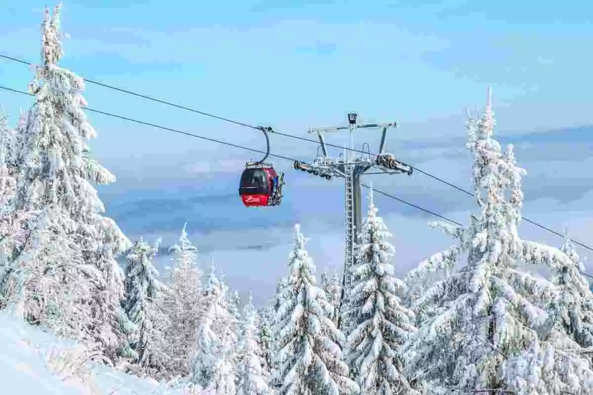 Un telecabina envoltat d'arbres en una estació d'esquí nevada