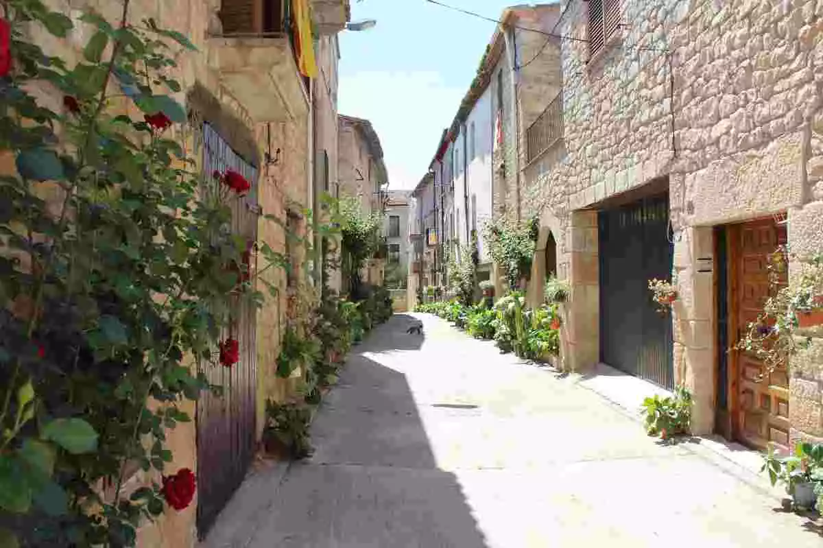 Imatge d'un carrer del poble lleidatà de Vinaixa, a la comarca de les Garrigues