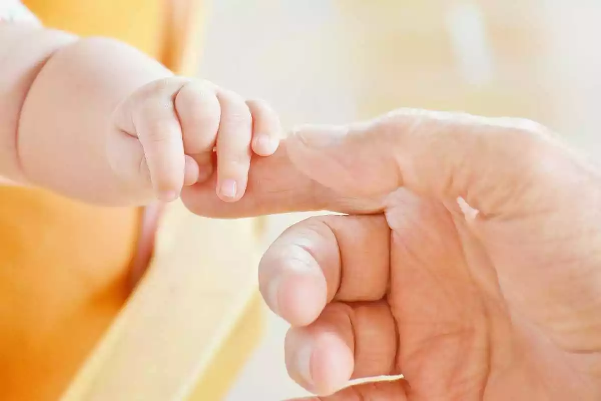 La mà d'un bebè agafant el dit d'una persona adulta