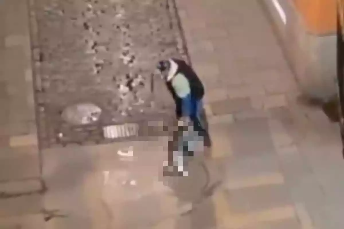 Captura de vídeo de l'home maltractant el seu gos, a Girona