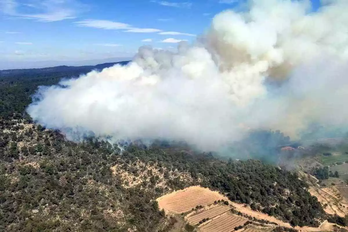Imatge aèria de l'incendi forestal de Senan, a la Conca de Barberà