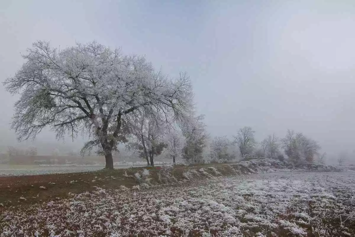 Imatge d'un dia de ple hivern a Tremp