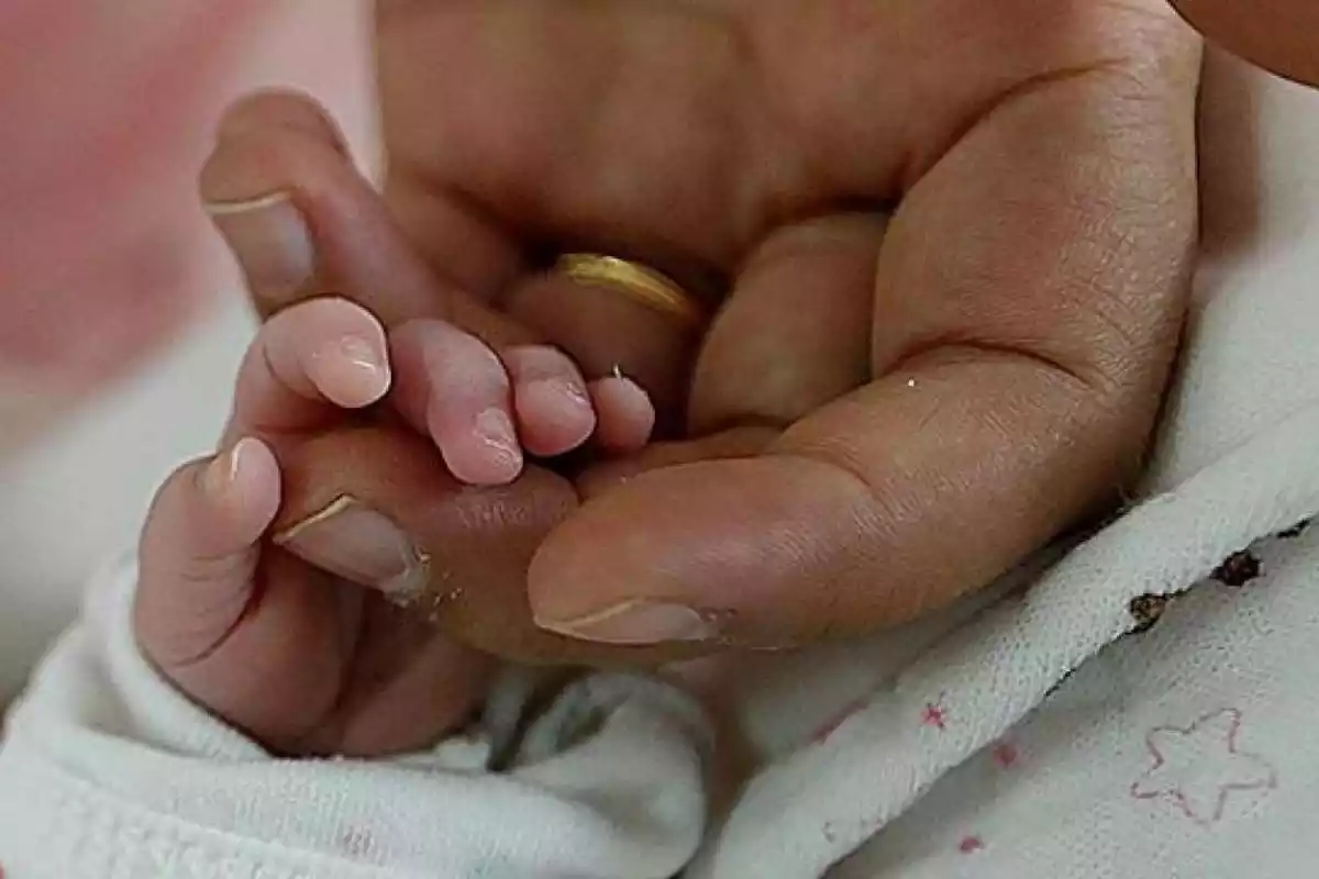 Imatge de la mà d'un bebè agafant un dit de la mà del seu pare