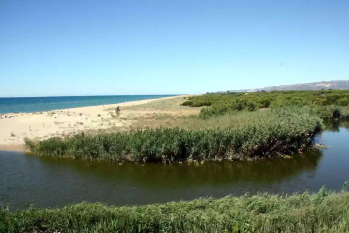 Imatge de la riera de Sant Climent i la platja de Viladecans.