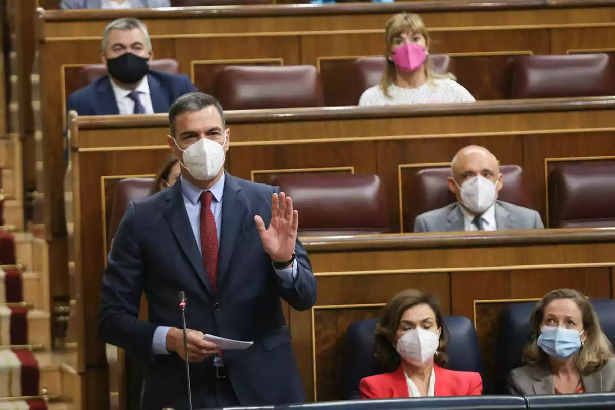 Pedro Sánchez, de peu, parlant des del seu seient al Congrés dels Diputats