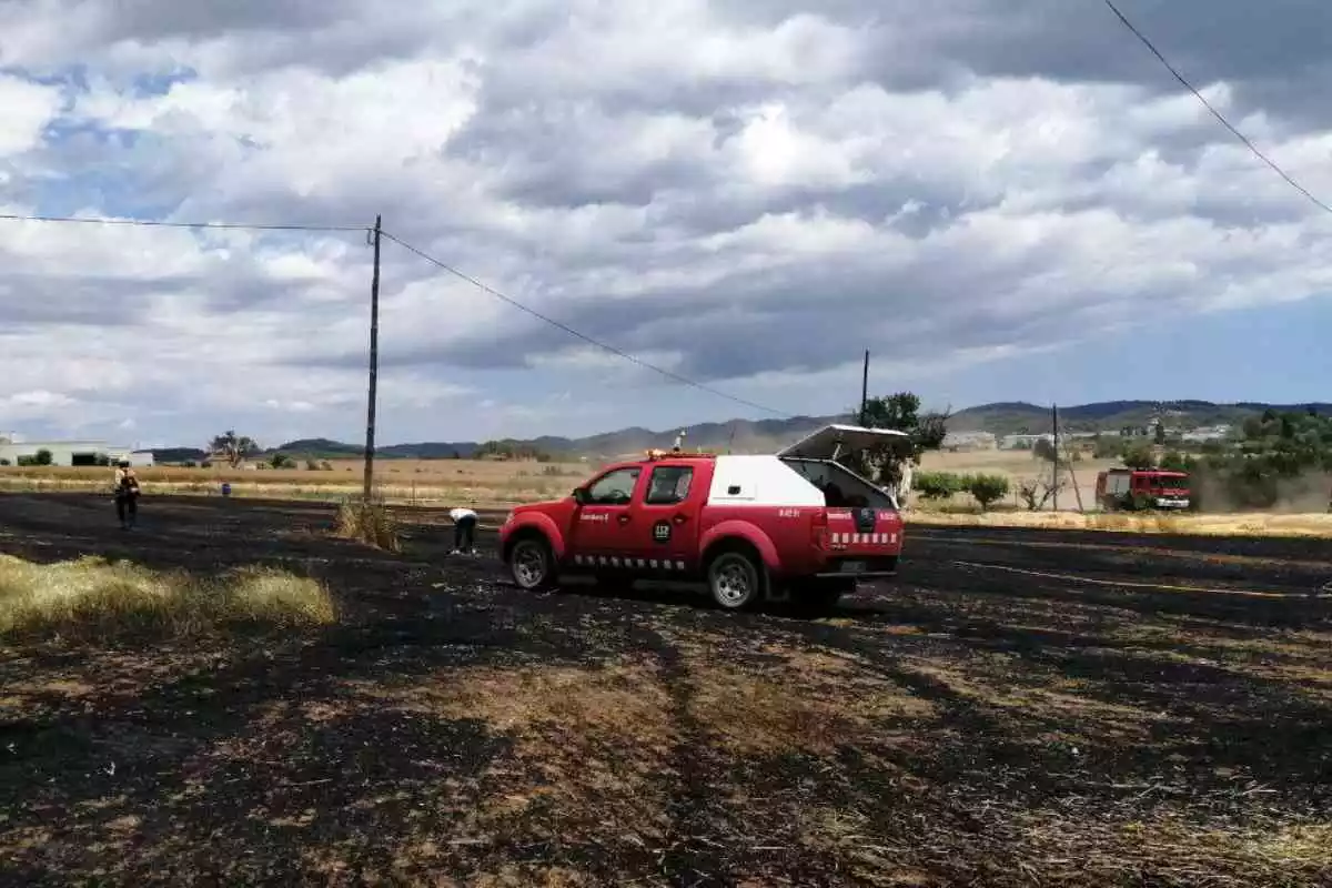 Un cotxe dels Bombers en un terreny agrícola cremat