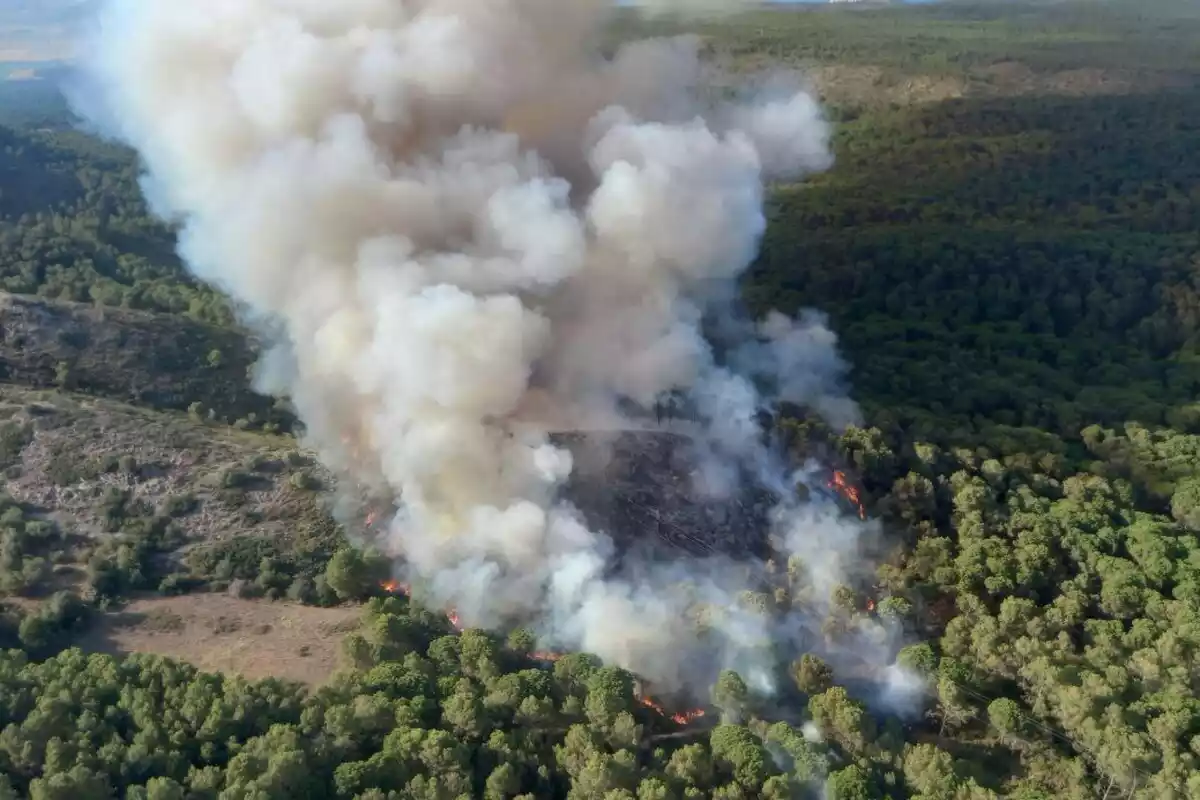 Imatge aèria de l'incendi al Montgrí, al Baix Empordà
