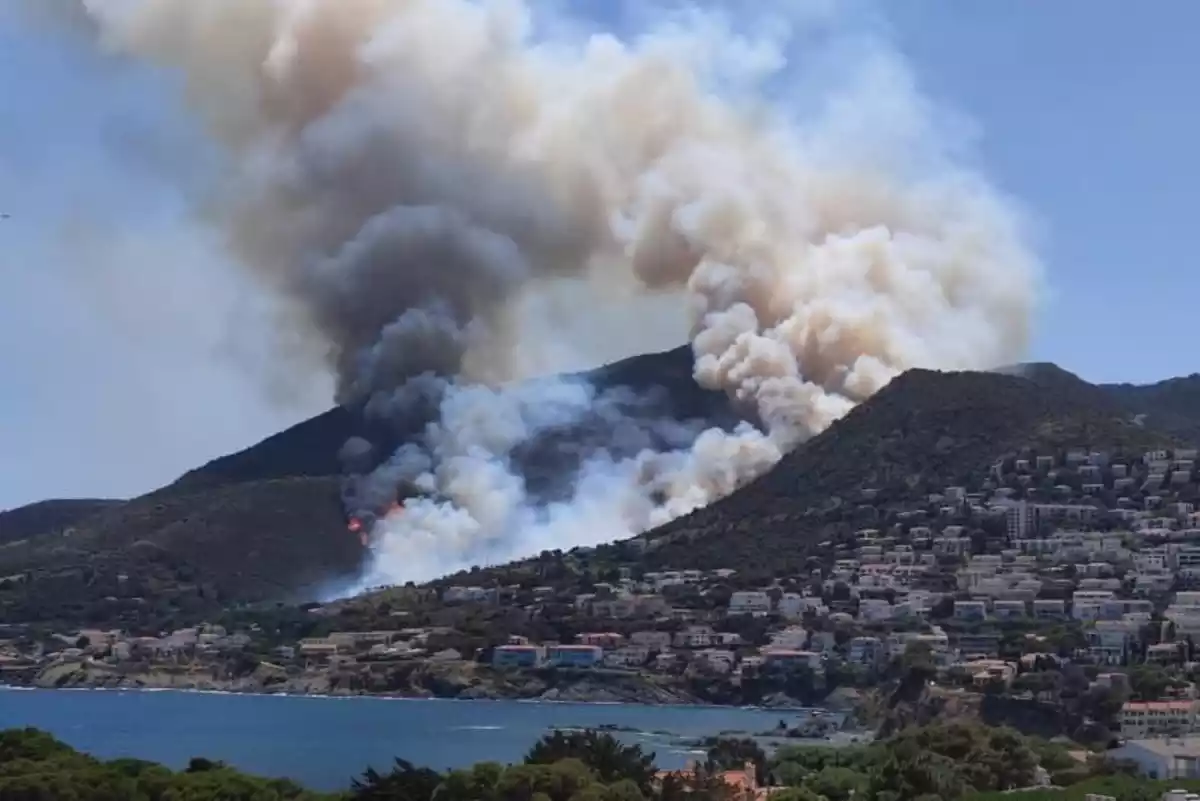 Imatge captada pels Bombers de l'incendi a Llança, que crema a la vora del mar