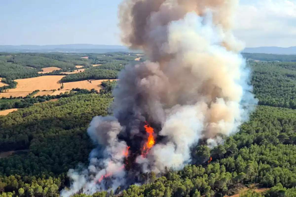 Imatge de les flames i el fum a l'incendi de Ventalló.