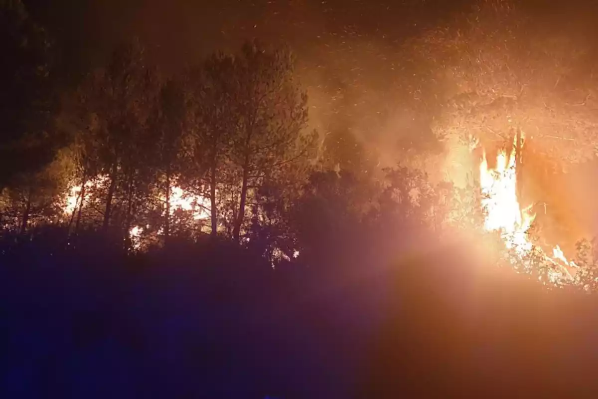 Imatge de l'incendi amb flames a la Conca de Barberà i l'Anoia.