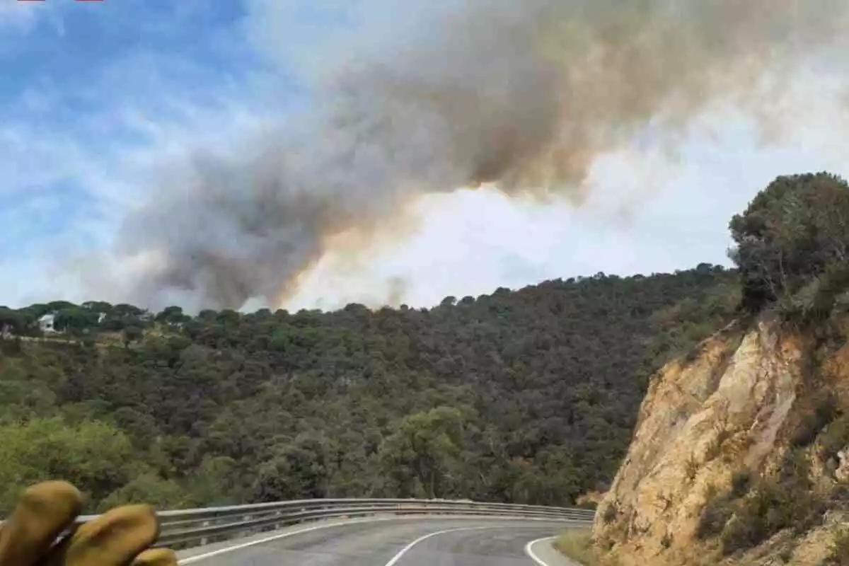 Imatge de l'incendi que ha tingut lloc a Catalunya entre Tossa de Mar i Lloret de Mar, a la comarca de la Selva